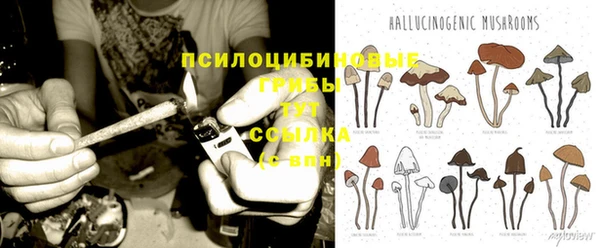 героин Алексин